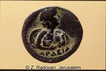 2236 Arabia