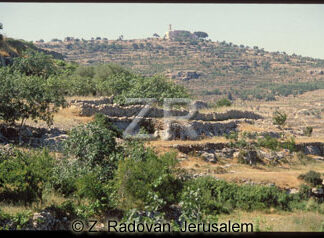 224-3 Prophet Samuel's tomb