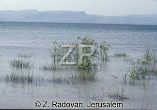2246-11 Sea of Galilee