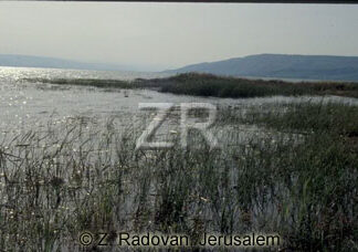 2246-13 Sea of Galilee