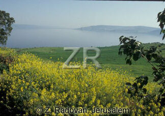 2246-8 Sea of Galilee