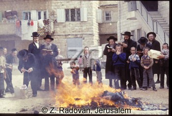 2329-1 Burning Hamez