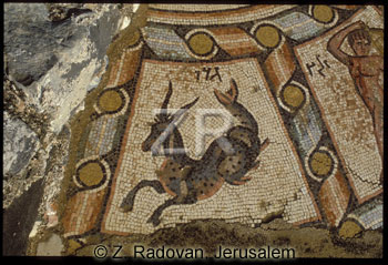 2363-7 Tiberias synagogue