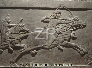 2406 Assyrian cavalry