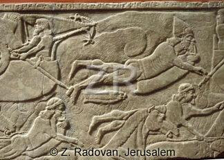 2408-1 Assyrian army
