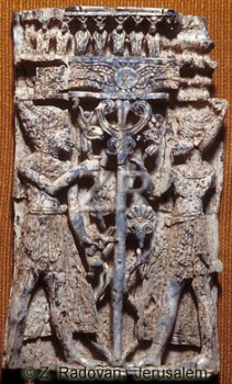 2431 TREE OF LIFE