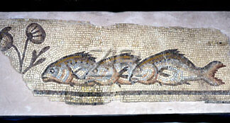 2461 BethShean mosaic