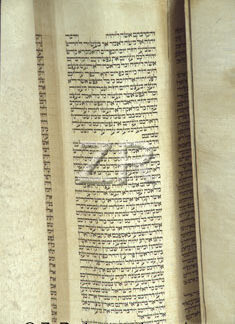 2506-2 Torah script