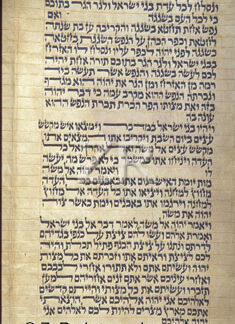 2506-3 Torah script