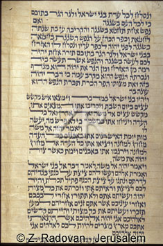 2506-3 Torah script