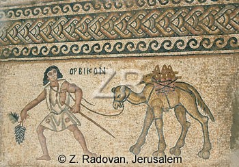2512 Kisufim mosaic