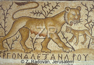 2515 Kisufim mosaic