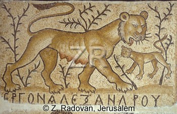 2515 Kisufim mosaic
