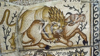 2516 Kisufim mosaic