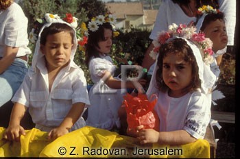 2528-10 Shavuoth