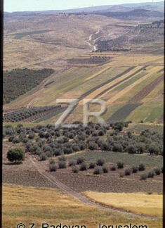 256-12 Valley of Elah