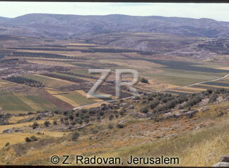256-19 Valley of Elah