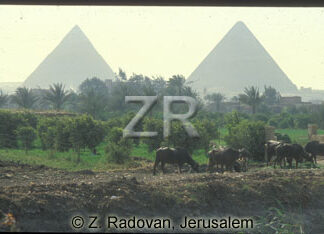 2561-2 Giza piramids