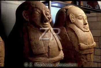 262-12 Anthropoid