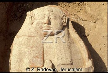 262-25 Anthropoid