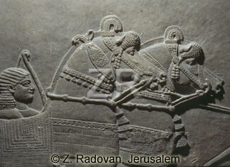 2639 Assyrian cavalry