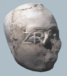 2640-1 Jericho skull