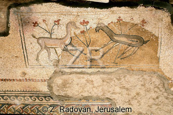 2705-5 Naaran synagogue