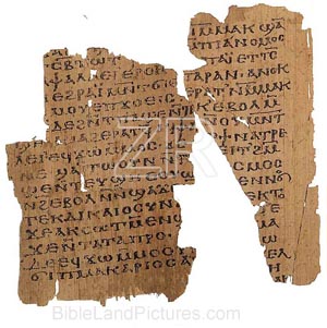 2717-2 Nag Hammadi codex
