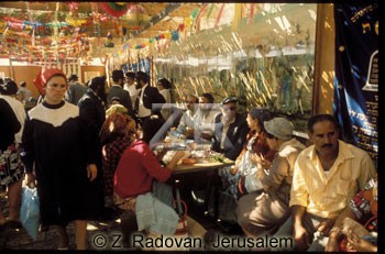 2769-1 Public Succah