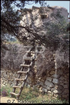 2774-2 Ladder