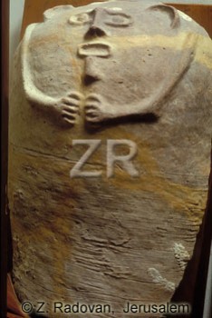 2798 Antrophoid