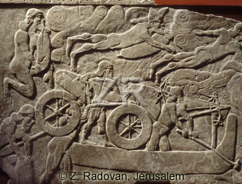 2832-3 Assyrian army