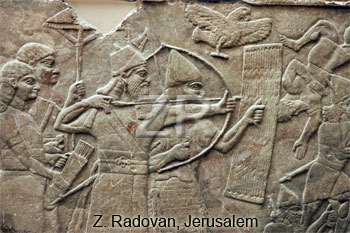 2836-6 Assyrian archers