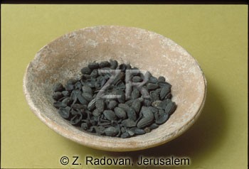 2898 Olives
