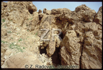 291-2 Qumran