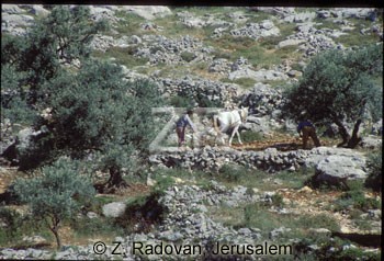 3134-1 Plowing