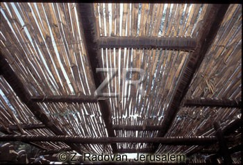 3218-1 Reed roof