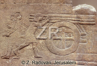 3229-1 Assyrian army