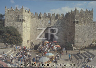 325-1 The Damask gate