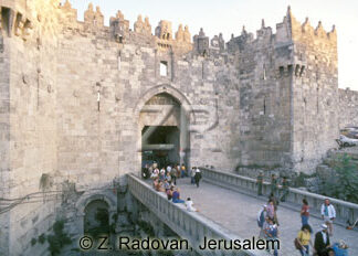 325-8 The Damask gate
