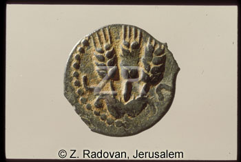 3271-1 Agrippa I.-coin