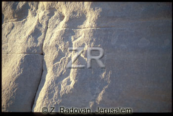 3281-2 Sinai inscriptions
