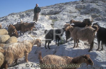 3404-3 Judean wilderness