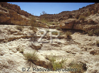 3456-2 Wadi Carcom