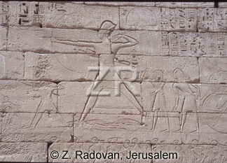 3540 Ramses III in battle