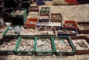 3565 Archeological sherds