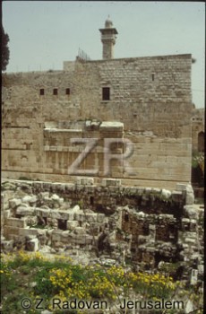 373-5 Robinson's Arch