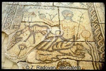 3770 BethShean mosaic