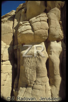 3897-3 Sinai inscriptions