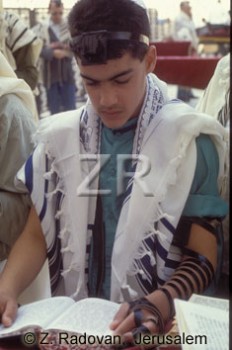 3934-3 Talith and Tefilin